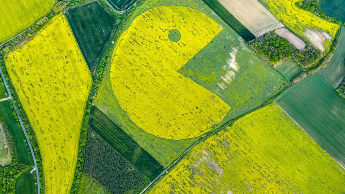 Když už kruhy v obilí nejsou dostatečně cool!