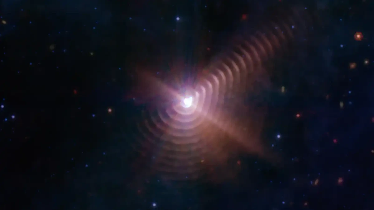 Má vesmír své "otisky prstů"?