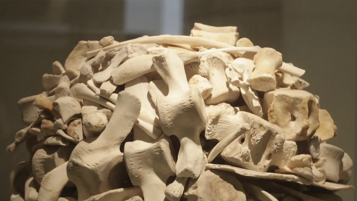 I takto si lze hrát s přírodou a vytvořit si "magickou" kompozici pro fotografování