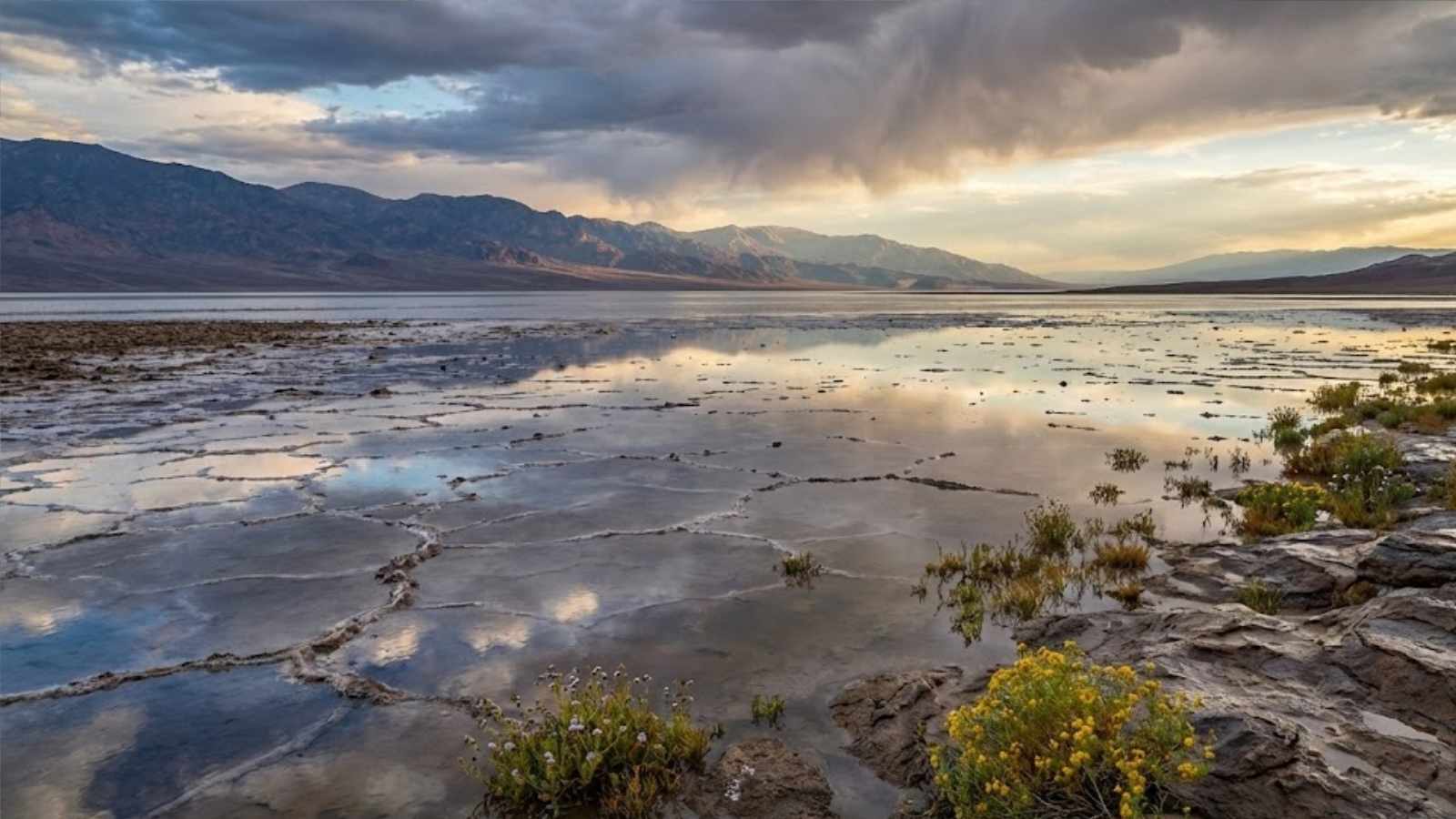 Údolí smrti po rekordních deštích znovu zaplavila voda