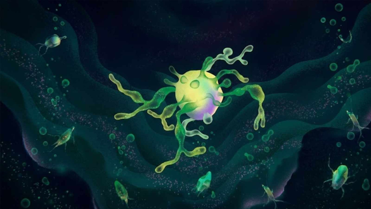 Podivné buňky, které možná daly vzniknout všemu složitému životu