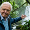 Sto let legendy: David Attenborough dnes slaví narozeniny, které změnily svět!