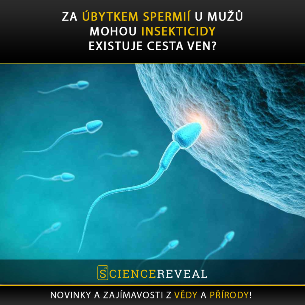 insekticidy ovlivňují množství spermií u mužů