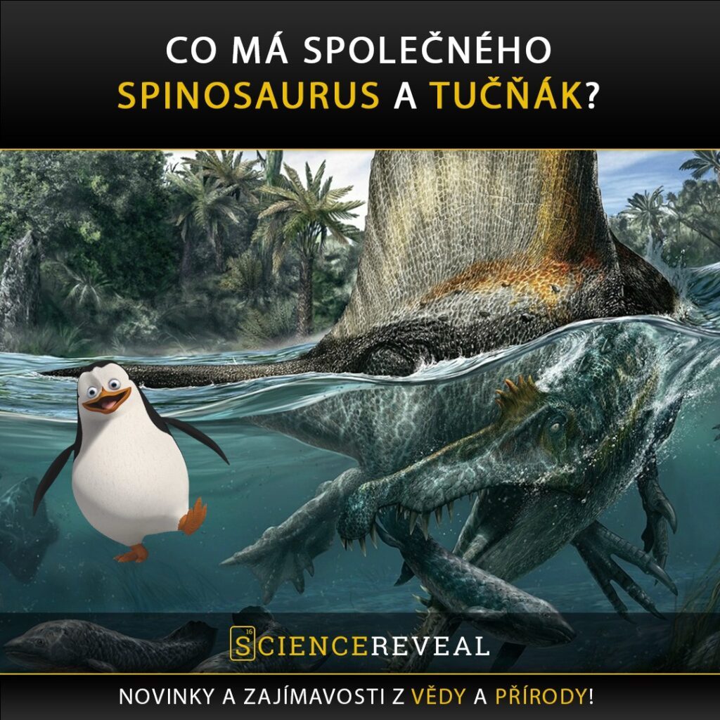 Spinosaurus a tučňák
