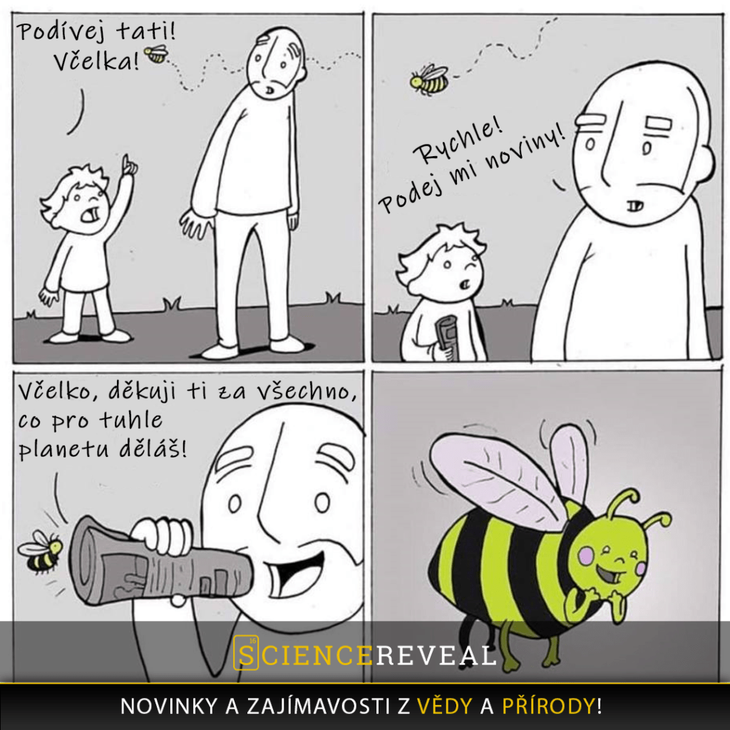 Význam včel