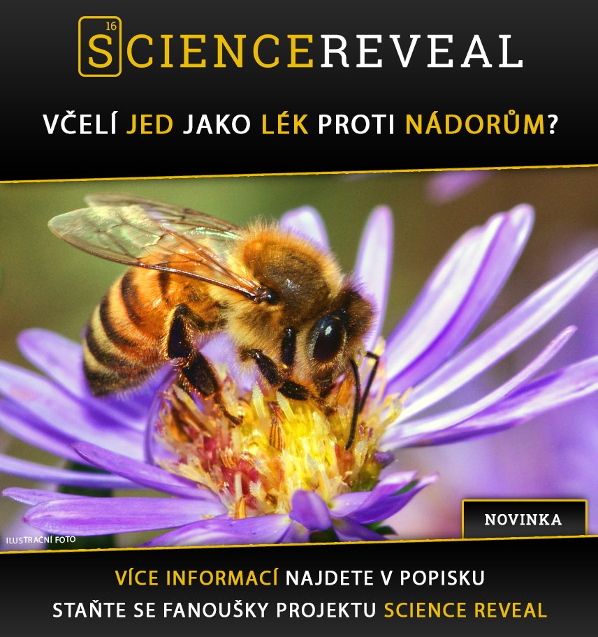 Včelí jed jako lék proti nádorům?