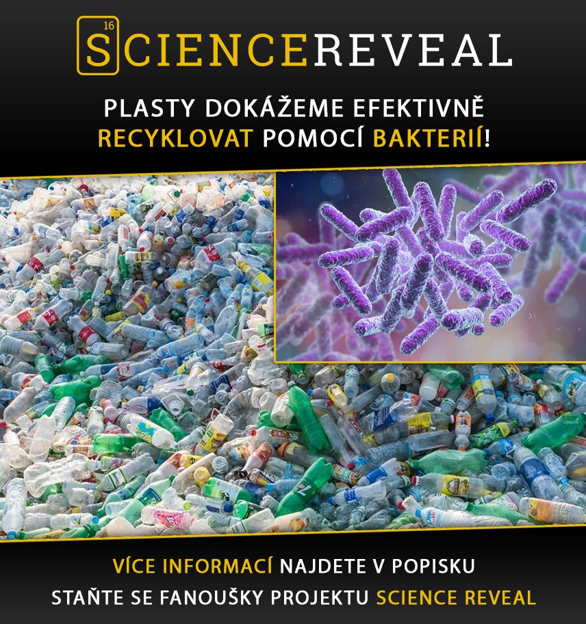 Plasty dokážeme efektivně recyklovat pomocí bakterií!
