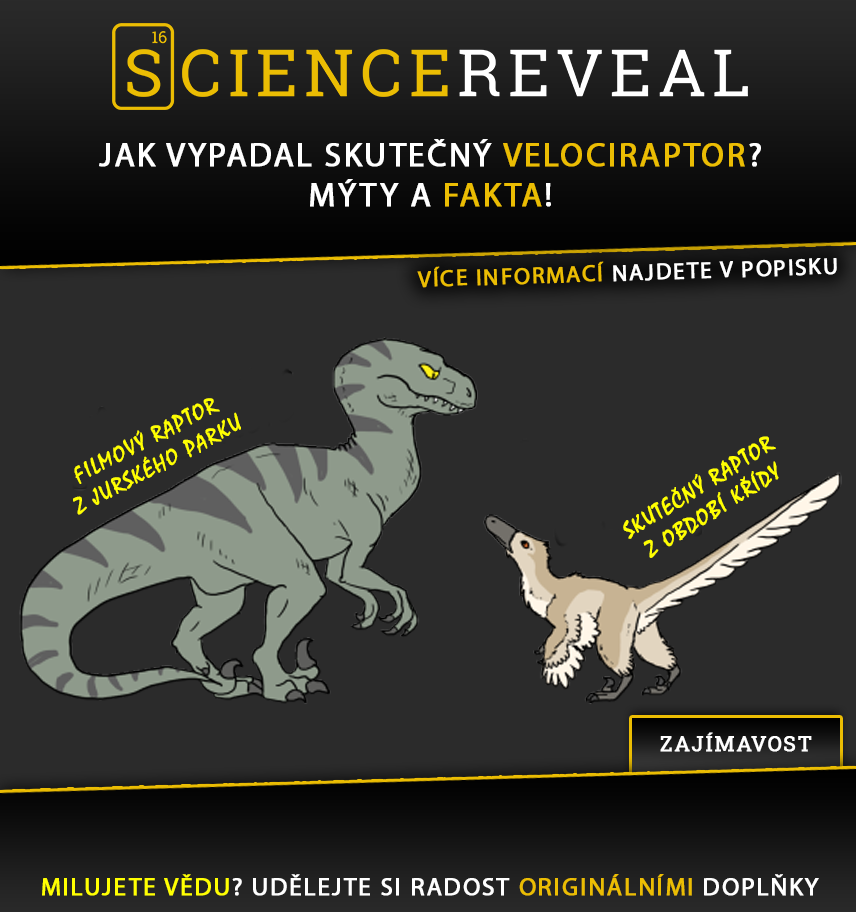 Jak vypadal skutečný velociraptor? Mýty a fakta!