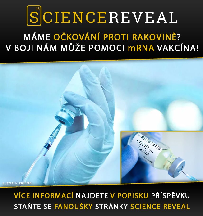 Máme očkování proti rakovině? V boji nám může pomoci mRNA vakcína!