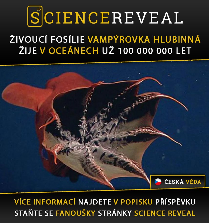 Živoucí fosílie vamýrovka hlubinná žije v oceánech už 100 000 000 let