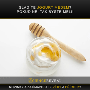 Sladíte jogurt medem? Pokud ne, tak byste měli!